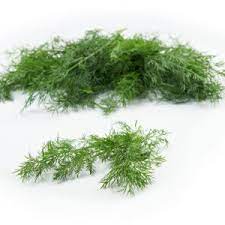 Delmark Fresh Dill bag