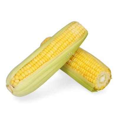 Sweetcorn 2 pack