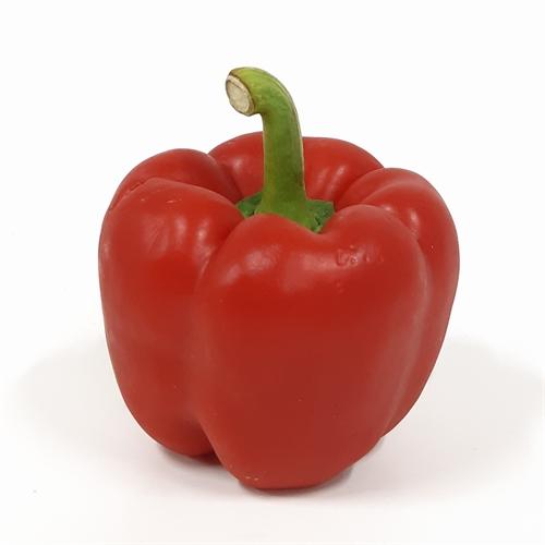 Capsicum Red ea