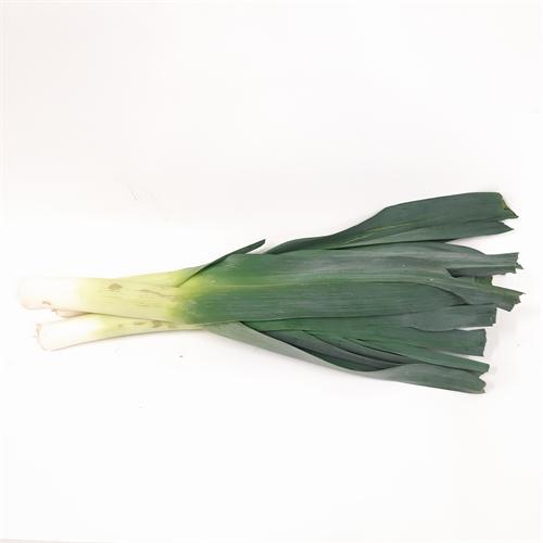 Leek ea