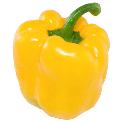 Capsicum Yellow