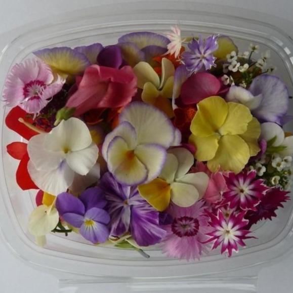 MIXED Edible-Flowers Punnet