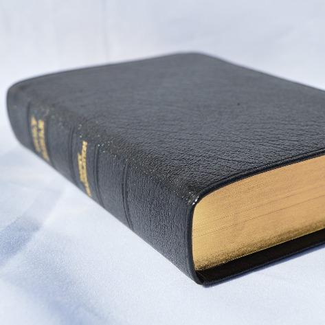 Bible : JND Medium Size 1961 Edition