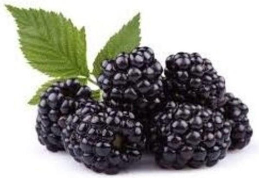 Blackberries, 6oz