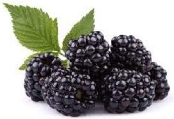 Blackberries, 6oz