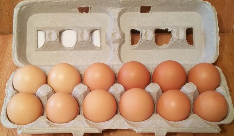 Farm Fresh Eggs