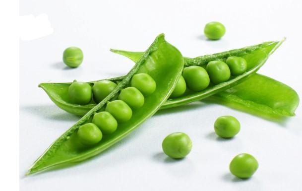 Sugar Snap Peas