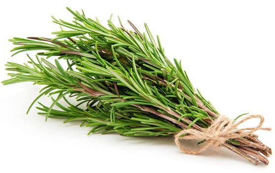 Rosemary