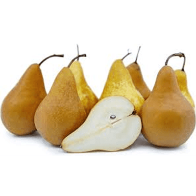 Pear Bosc 6 pk