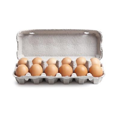 Eggs Size 7 Dozen