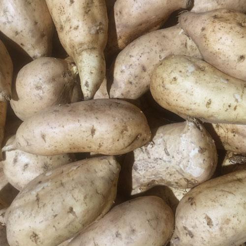 Kumara Gold 2 kg