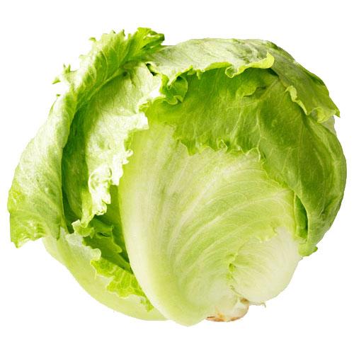 Lettuce Iceberg