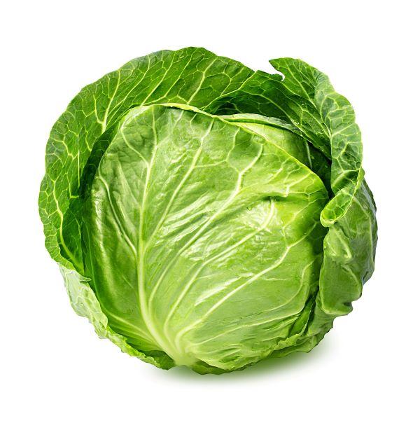 Cabbage Whole