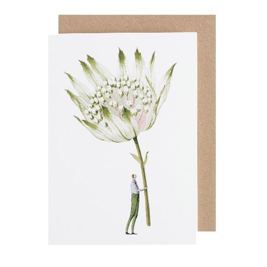 Laura Stoddart Greeting Card - Astrantia