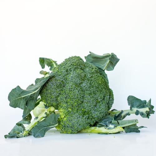 Broccoli Head