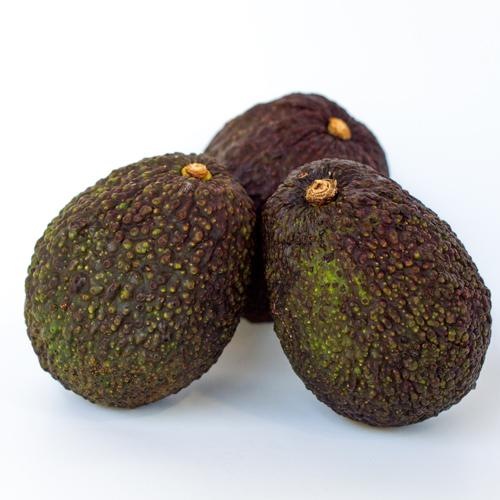 Avocado Hass ea