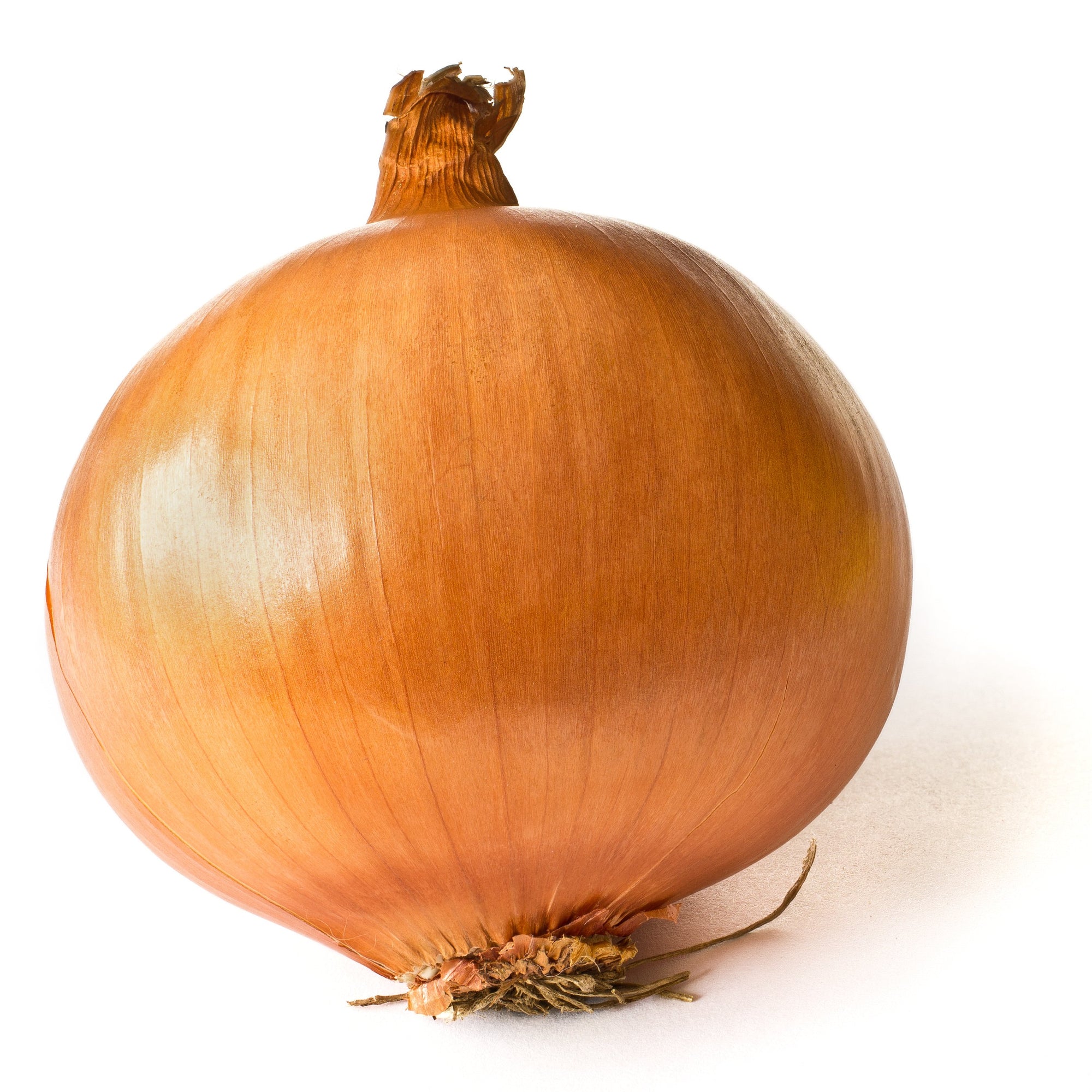 Onion Single