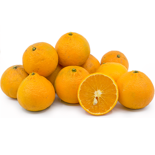 Oranges NZ Lg 5 pk