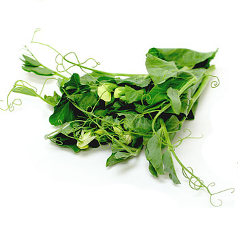 Pea Tendrils 100g bag