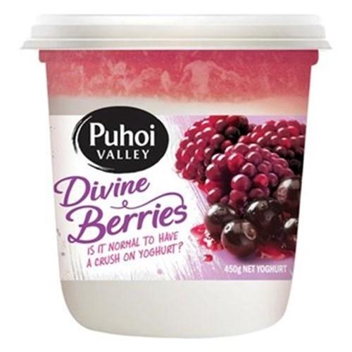 Puhoi Valley Divine Berries Yoghurt 450g