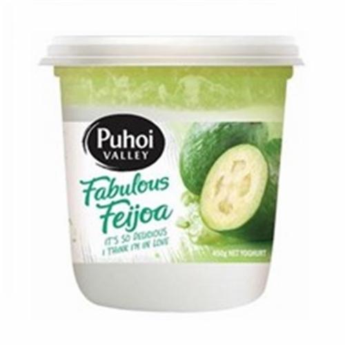 Puhoi Valley Fabulous Feijoa Yoghurt 450g