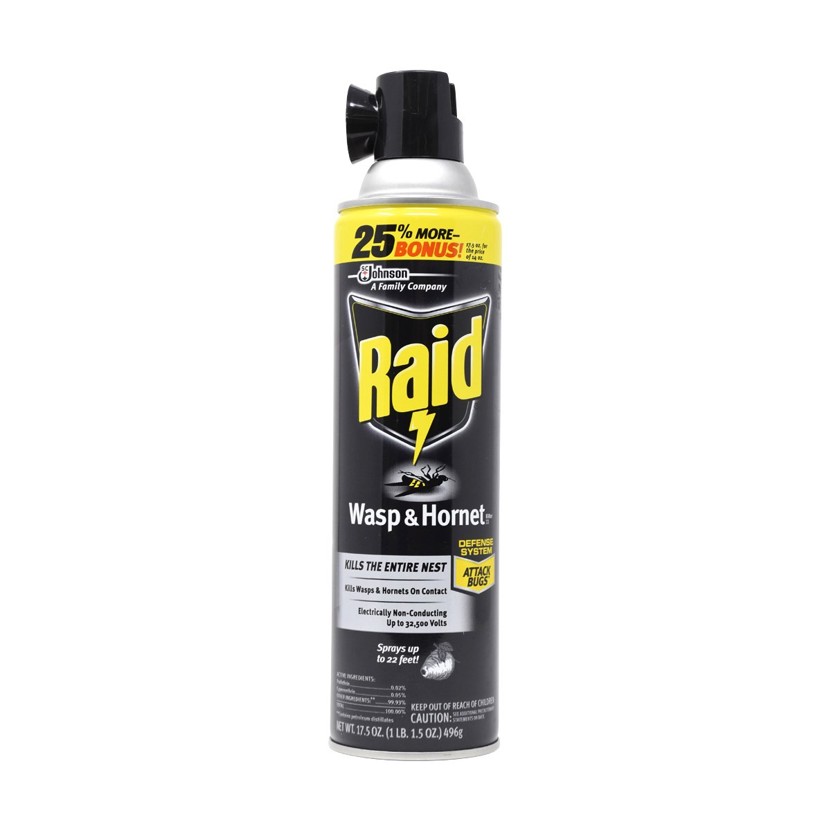 Raid Wasp & Hornet Spray