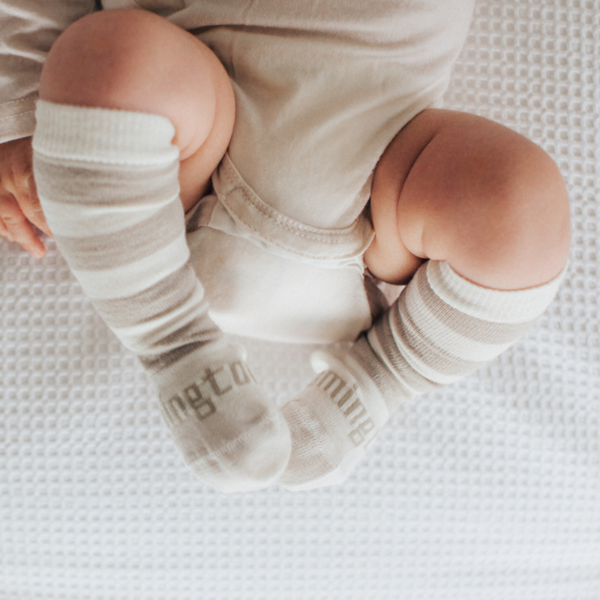 Lamington Dandelion Socks pr