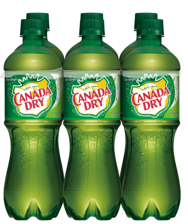 Canada Dry Ginger Ale 16.9fl oz x 6