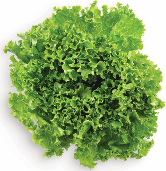 Green Leaf Lettuce 1 ct