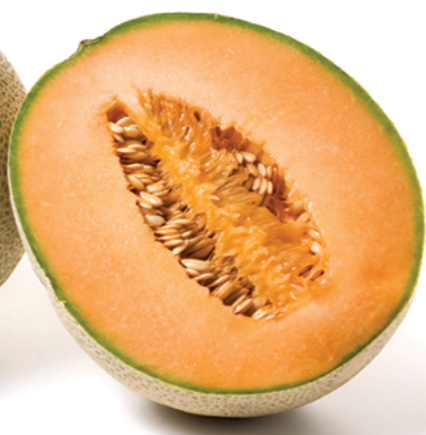 Cantaloupe Half