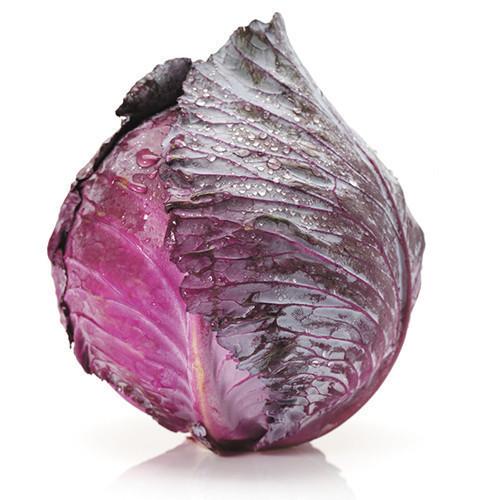 Cabbage Red