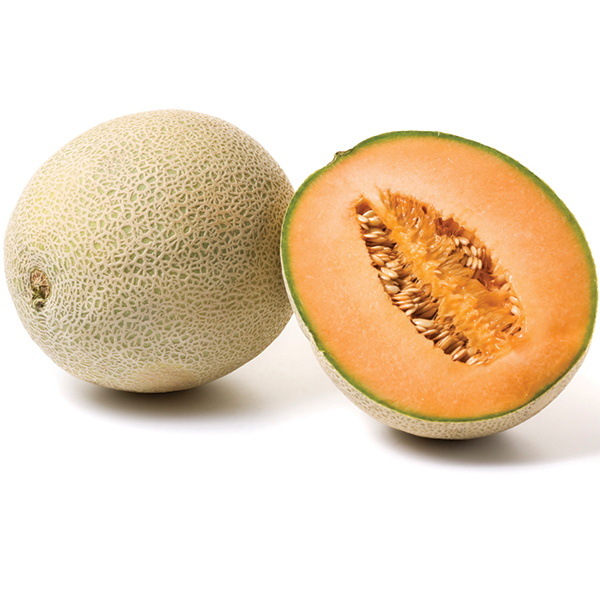 Cantaloupe