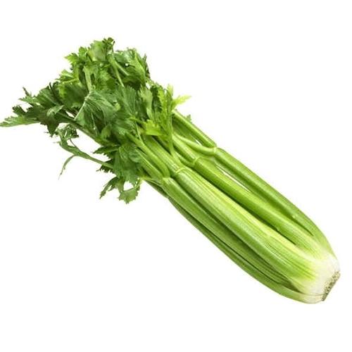 Celery Whole