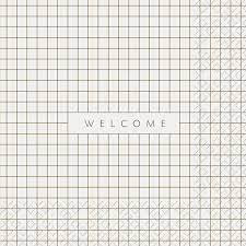 Napkin 33x33cm Ludos