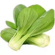 Pak Choy Cabbage Pk