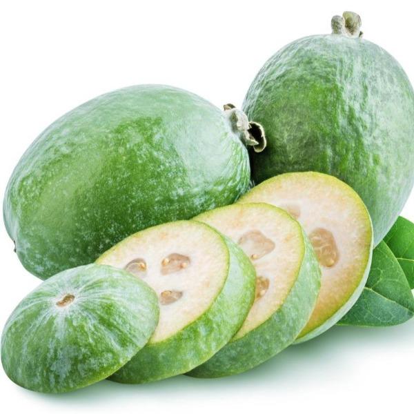 Feijoa pk