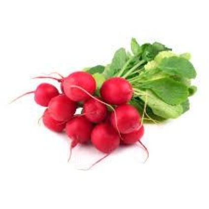 Radish bunch