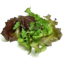 Drury Fresh Fancy Lettuce Mix 180gm