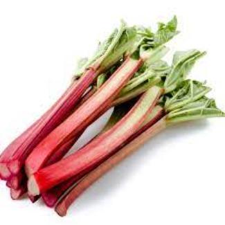 Rhubarb Fresh