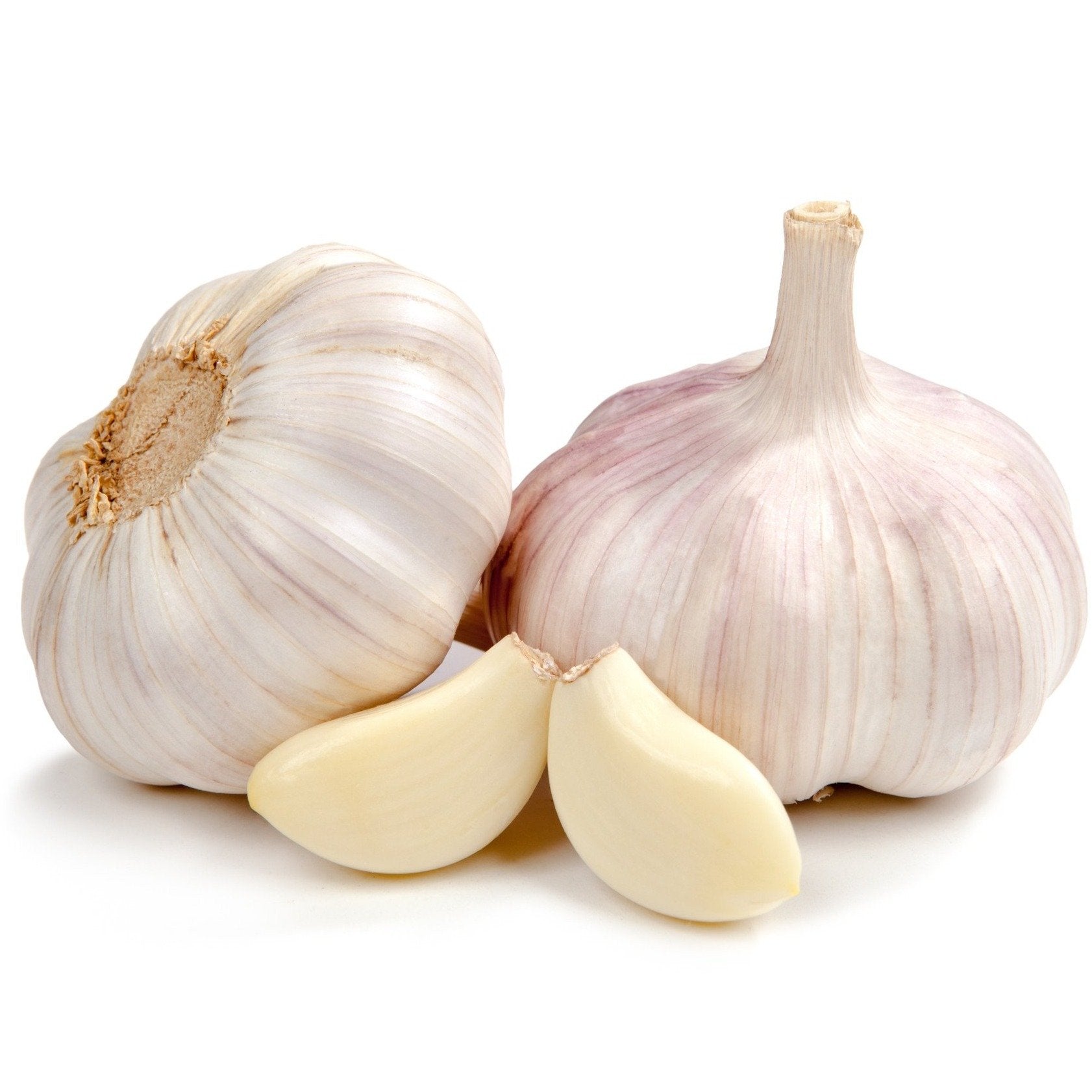 Garlic NZ Bulb Ea