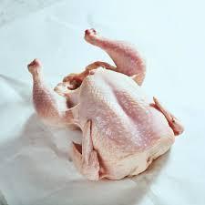 Whole Chicken Size 16 (N) ea