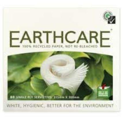 Earthcare Serviettes 80pk