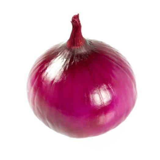 Onion Red Single