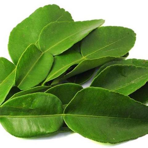 Kaffir Lime Leaves Fresh Pk (3 leaves)