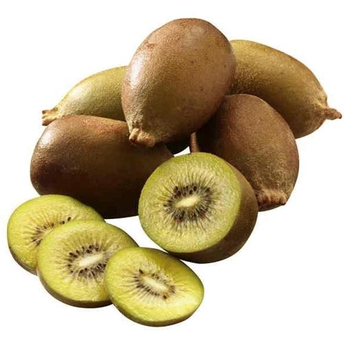 Kiwifruit Gold Pk