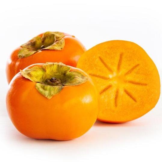 Persimmon 4pk