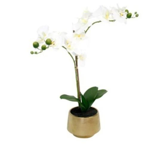 Real Touch Phalaenopsis w/Gold Ceramic Pot