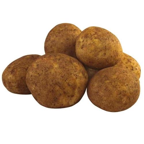 Potato Agria Last Seas. 10kg