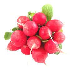 Radish Punnet