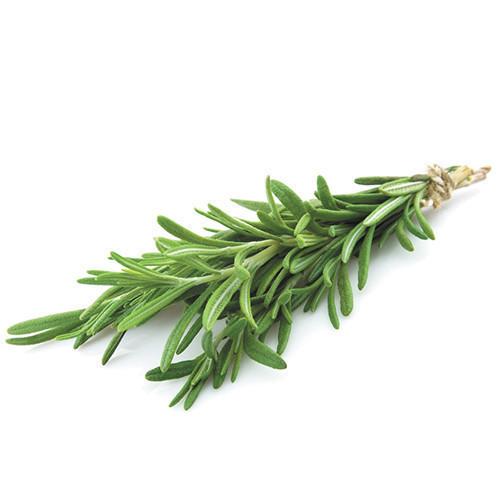 Delmark Rosemary Fresh 50g bag